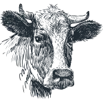 We use heritage breeds